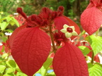 dscn0782 8588941922 o