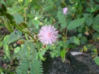 dscn0937 8587836199 o