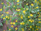 dscn1060 8605061943 o