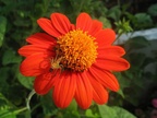 flower103 8606197688 o