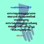 1486525661976 33163743126 o