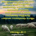 2019-12-12-09-05-15 49393102106 o