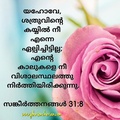 2019-12-14-07-47-53 49393101471 o