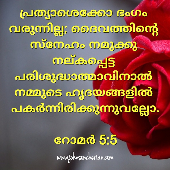 2019-12-17-07-05-08_49393303582_o.jpg
