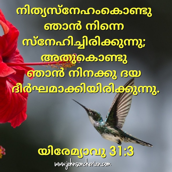2019-12-19-08-34-33_49393302987_o.jpg