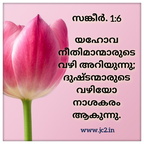 2020-09-29-19-28-54 50526898821 o